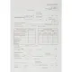 Бланк Авансовый отчет форма АО-1 А4  1у/5кн по 100л газетка(упаковка крафт)