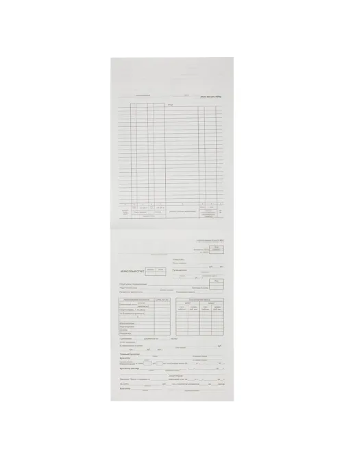 Бланк Авансовый отчет форма АО-1 А4  1у/5кн по 100л газетка(упаковка крафт)