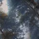 Ежедневник недатированный 7БЦ, пленка глянц., А5,128л, Выбор есть, Тайга