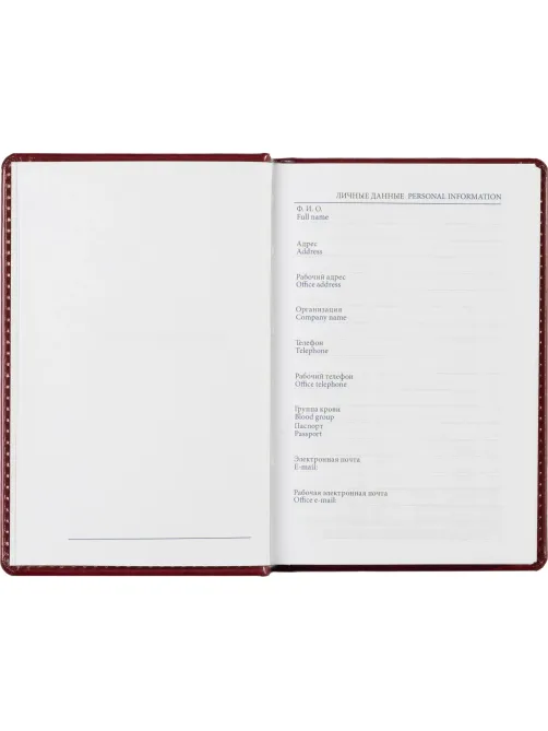 Ежедневник недатированный бордо, А6,100x150, 320стр, Agenda