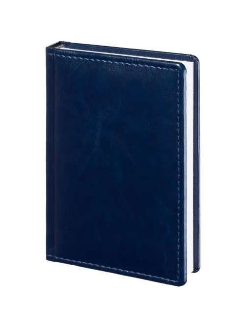 Ежедневник недатированный синий, А6,100x150, 320стр, Agenda