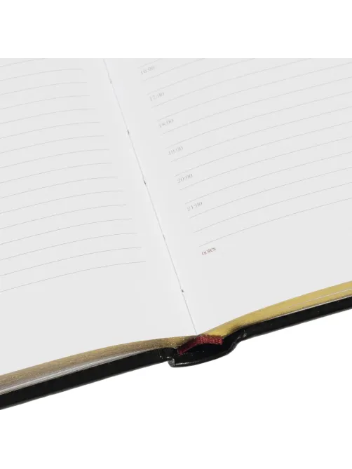 Ежедневник недатированный А5+, 145х205,Sidney Nebraska,чер,з.уг 3-128/17