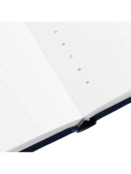 Ежедневник недатированный синий, А5, 148x218, 352стр, Agenda