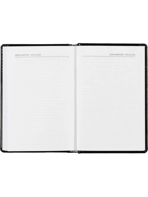 Ежедневник недатированный черн, А6, 100x150, 320стр, Agenda