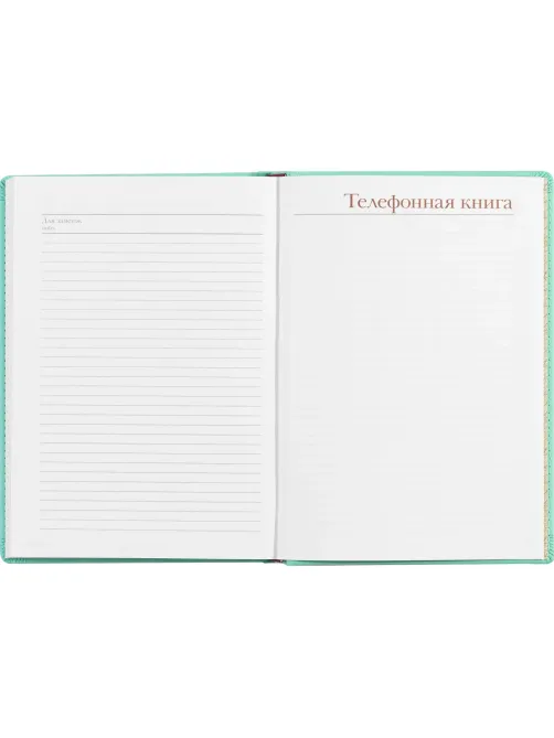 Ежедневник недатированный А5+, 136л, VELVET ментоловый  3-115/33