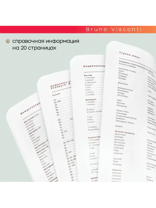 Ежедневник недатированный А5 Mercury белый 272 стр. 3-435/14