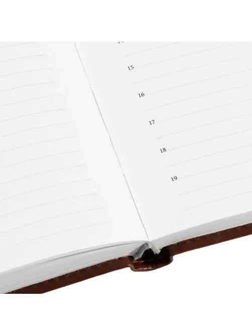 Ежедневник недатированный коричн, А5, 148x218, 352стр, Agenda