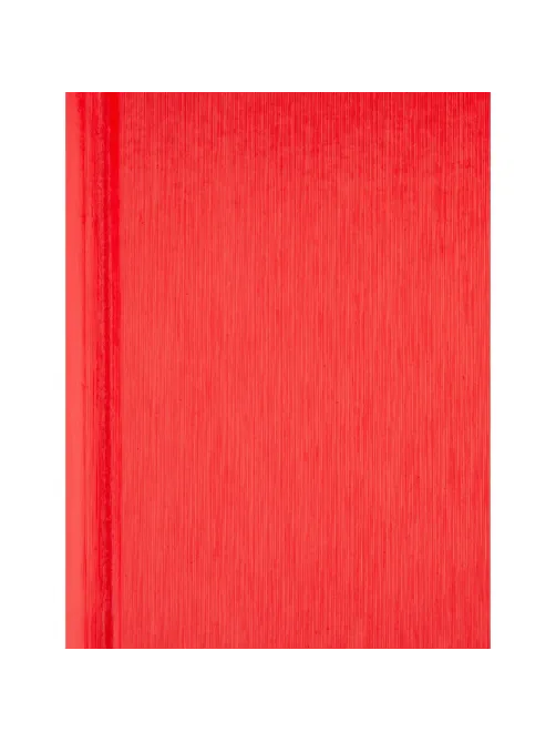 Ежедневник недатированный Attache Rain, А5, 160 л, красный