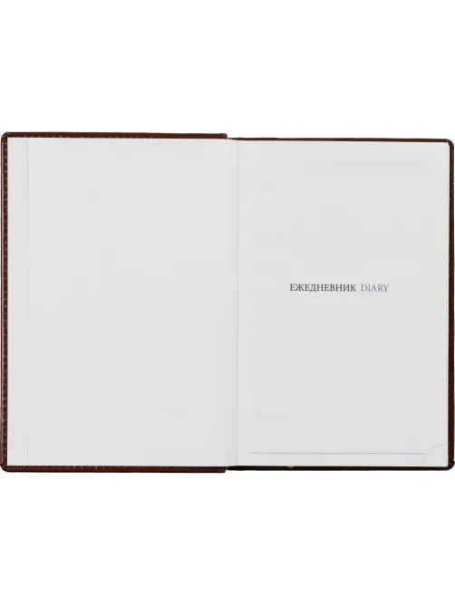 Ежедневник недатированный коричн, А5, 148x218, 352стр, Agenda
