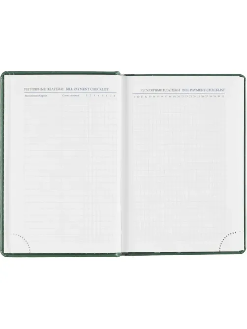Ежедневник датированный 2026, зеленый,А6, 100х150 мм,336 стр,Agenda