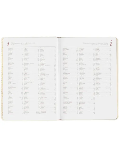 Ежедневник недатированный белый,А5,145х205мм,136л, Sidney NEBRASKA 3-128/06