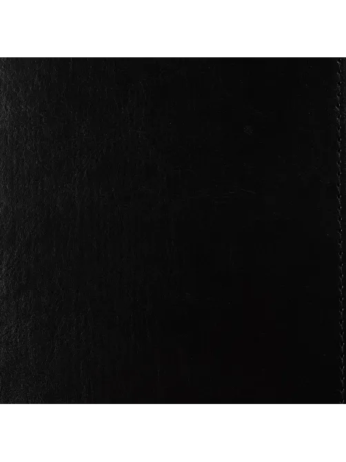 Ежедневник недатированный черн,А5,145х205мм,136л, Sidney NEBRASKA 3-128/02