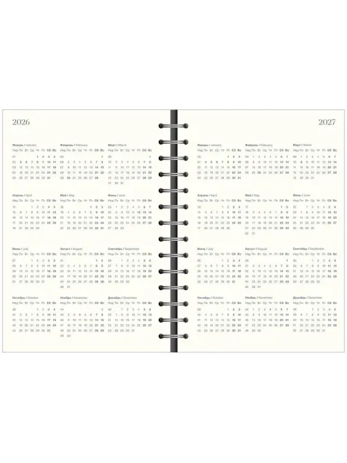 Ежедневник датированный 2026 IF 14х20см 160л, на спир, Basic I1751emb/blue