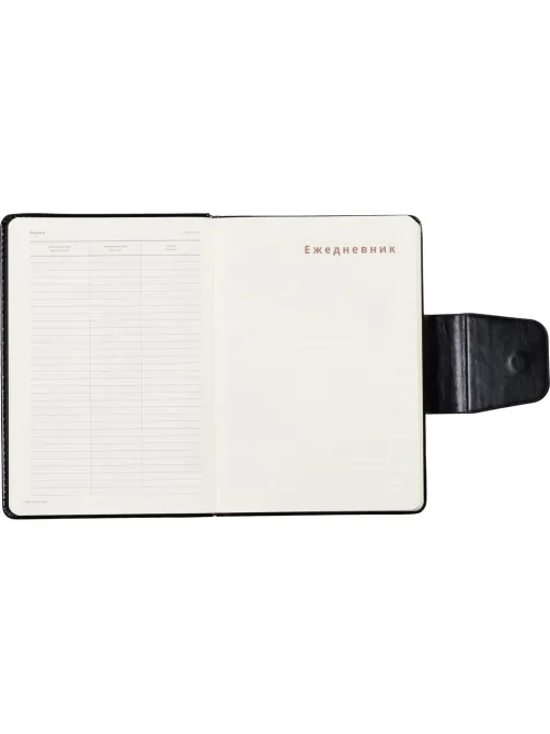 Ежедневник недатированный A5, Prestige черный, 160 л. 3-352/01