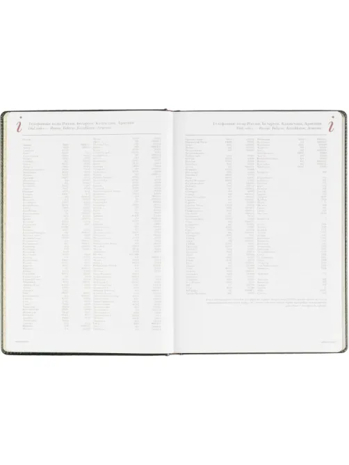 Ежедневник недатированный А4 210 х 302мм Sidney Nebraska 272 стр.3-539/05