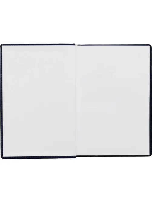 Ежедневник недатированный синий, А5, 148x218, 352стр, Agenda