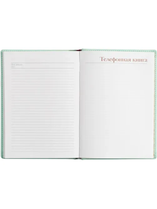 Ежедневник недатированный А5+, 136л, Velvet зефирный мятный 3-115/36