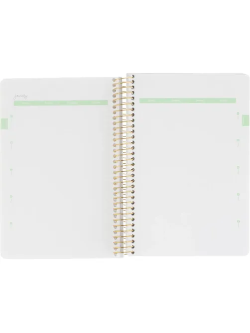 Ежедневник недатированный CUTE DIARY А5,BV,136,ИРИСЫ, зол.греб, 3-701/15