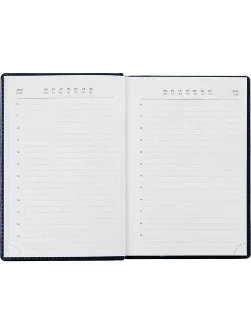 Ежедневник недатированный синий, А5, 148x218, 352стр, Agenda