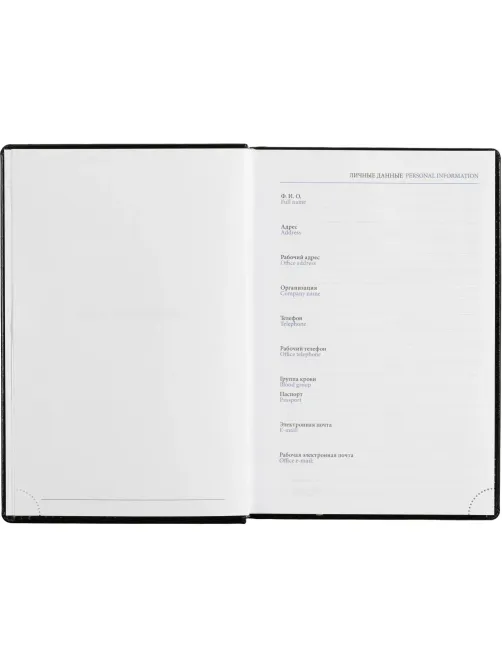 Ежедневник недатированный черный, А5,148x218, 352стр, Agenda