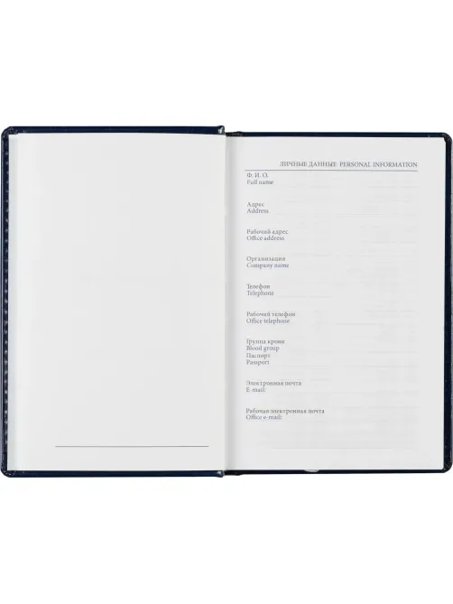 Ежедневник недатированный синий, А6,100x150, 320стр, Agenda