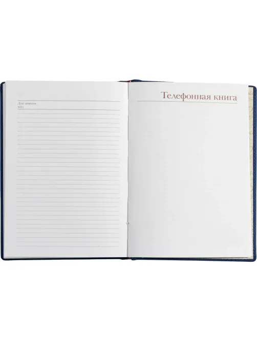 Ежедневник недатированный А5 145 х 205 мм Velvet синий 272 стр. 3-115/01