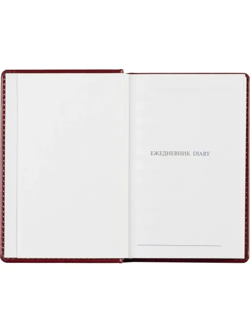 Ежедневник недатированный бордо, А6,100x150, 320стр, Agenda