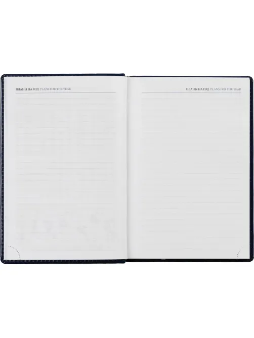 Ежедневник недатированный синий, А5, 148x218, 352стр, Agenda