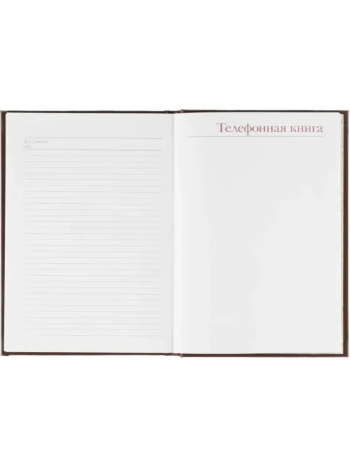 Ежедневник недатированный А5+ Ideal, коричневый 3-122/02