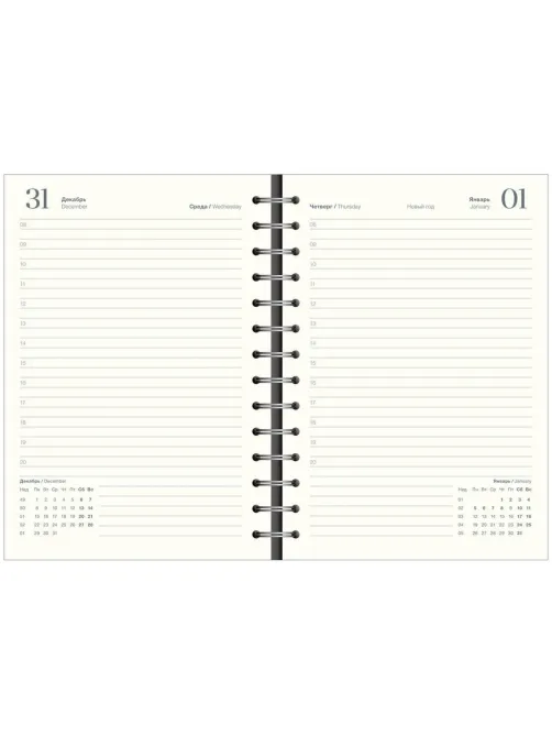 Ежедневник датированный 2026 IF 14х20см 160л, на спир, Basic I1751emb/blue