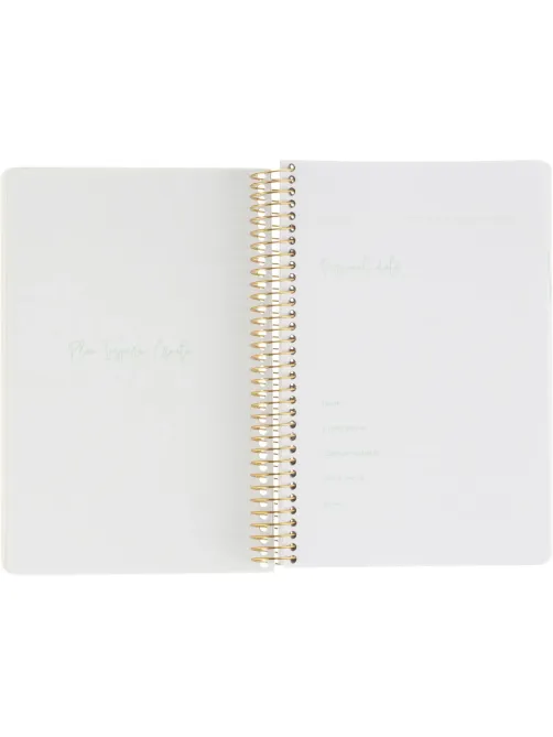 Ежедневник недатированный CUTE DIARY А5,BV,136,ИРИСЫ, зол.греб, 3-701/15