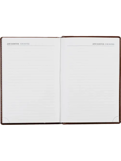 Ежедневник недатированный коричн, А5, 148x218, 352стр, Agenda