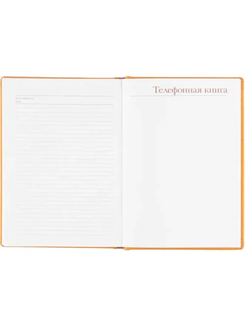 Ежедневник недатированный А5+, 136л, VELVET оранжевый  3-115/06