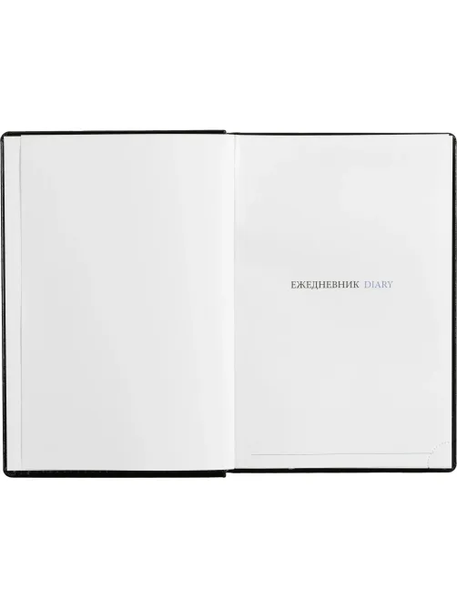 Ежедневник недатированный черный, А5,148x218, 352стр, Agenda