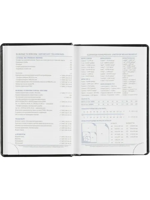 Ежедневник датированный 2026, черный,А6, 100х150 мм,336 стр,Agenda