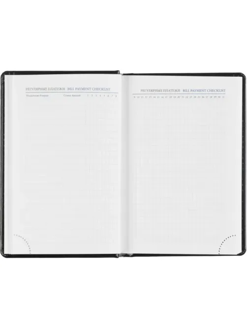Ежедневник датированный 2026, черный,А6, 100х150 мм,336 стр,Agenda