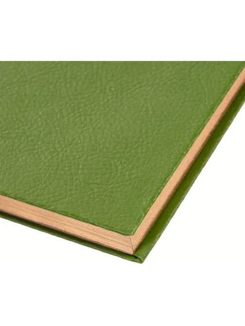 Ежедневник недатированный зеленый, А5, 140x200, 136 л, ATTACHE