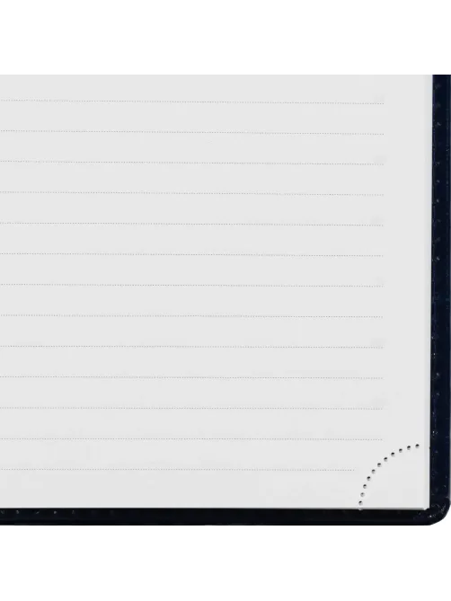 Ежедневник недатированный синий, А5, 148x218, 352стр, Agenda