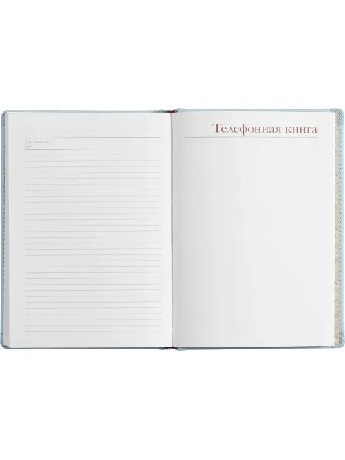 Ежедневник недатированный А5+, 136л, Velvet зефирный голубой 3-115/35