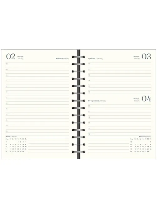 Ежедневник датированный 2026 IF 14х20см 160л, на спир, Basic I1751emb/blue