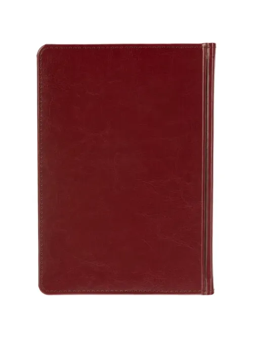 Ежедневник недатированный А5, Sidney Nebraska бордовый, 136 л. 3-128/01