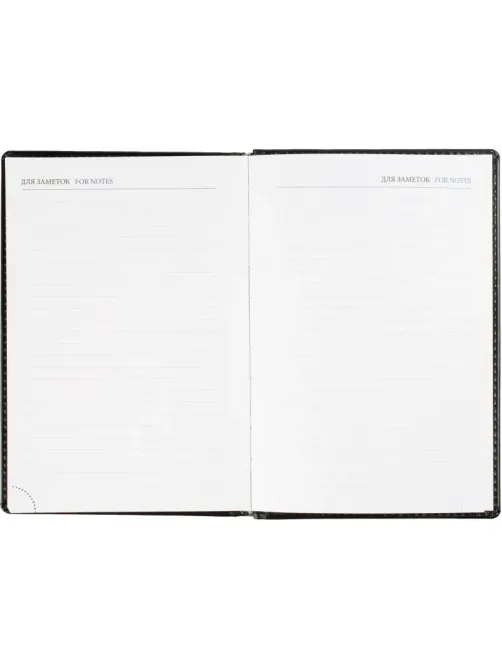 Ежедневник датированный 2026, черн, А5, 148x218 мм, 352 стр,АТТАСНЕ Agenda