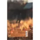 Ежедневник недатированный 7БЦ, пленка глянц., А5,128л, Выбор есть, Кошка