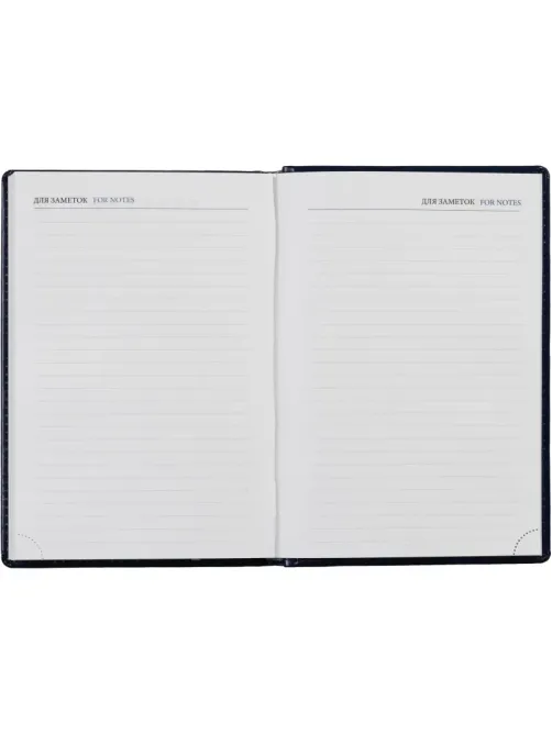 Ежедневник недатированный синий, А5, 148x218, 352стр, Agenda