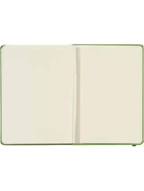 Ежедневник недатированный зеленый, А5 136 л., Dairy, ATTACHE