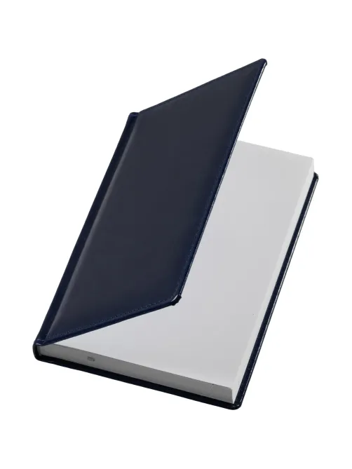 Ежедневник недатированный синий, А5, 148x218, 352стр, Agenda