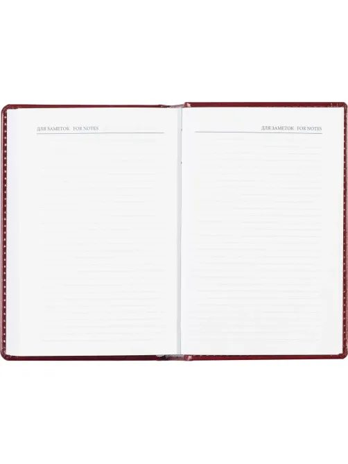 Ежедневник недатированный бордо, А6,100x150, 320стр, Agenda
