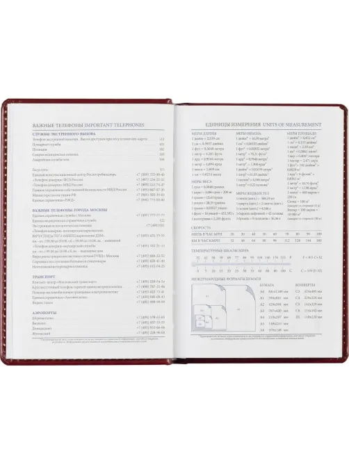 Ежедневник недатированный бордо, А6,100x150, 320стр, Agenda