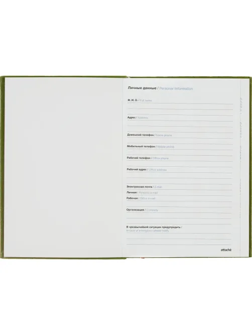 Ежедневник недатированный зеленый, А5, 140x200, 136 л, ATTACHE
