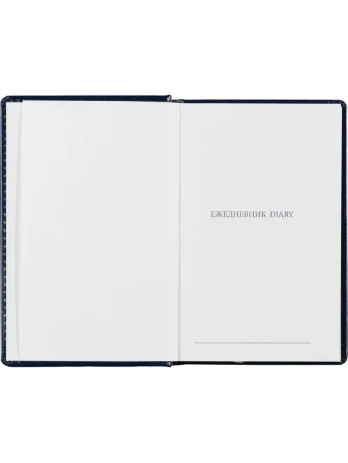 Ежедневник недатированный синий, А6,100x150, 320стр, Agenda